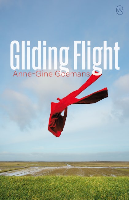 Book cover image for Gliding Flight ISBN: 9781642860085